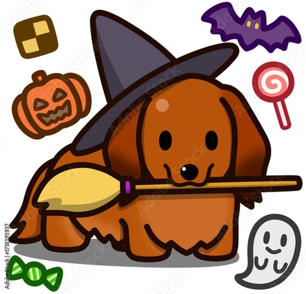 Fototapeta ハロウィン仮装のレッドのミニチュアダックスフンド