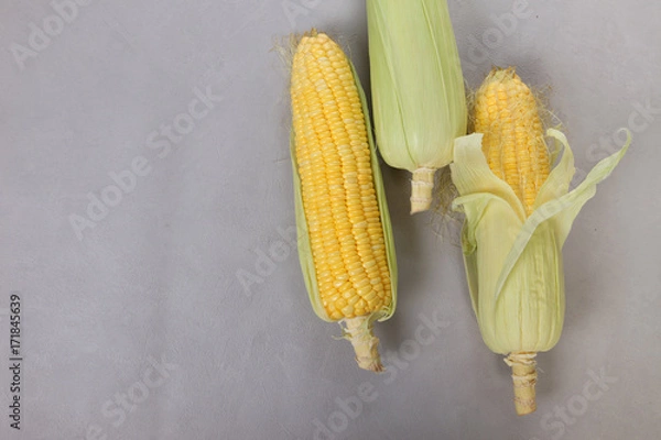 Fototapeta Fresh corn on cobs on texture background, closeup, top view