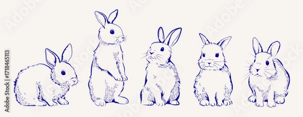Fototapeta Bunny sketch set. Vintage style engraved pencil drawings of Easter rabbits or hare. Cute fluffy animals sitting and standing. Hand drawn vector illustration collection