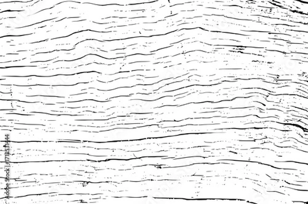 Fototapeta Tree bark texture