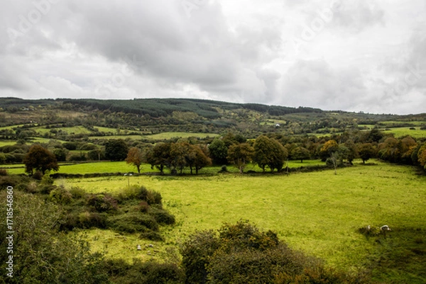 Fototapeta landscape with trees