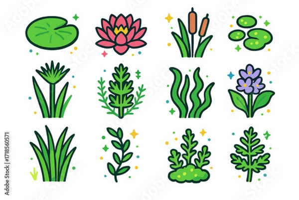Fototapeta Aquatic Plant Icons. Colorful isometric vector icons set of aquatic and water plants: water lily pad, lotus flower, cattail reed, duckweed float, papyrus