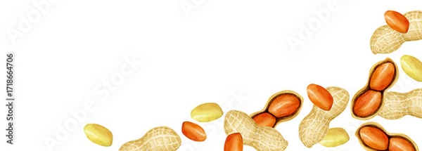 Obraz ピーナッツ 落花生　野菜　背景 フレーム 横長　水彩 イラスト