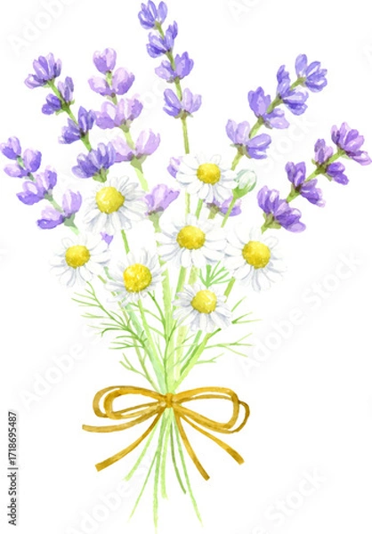 Fototapeta 水彩で描いたラベンダーとカモミールのミニ花束