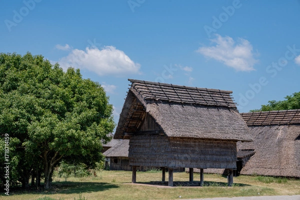 Obraz 弥生時代 遺跡 生活 風景