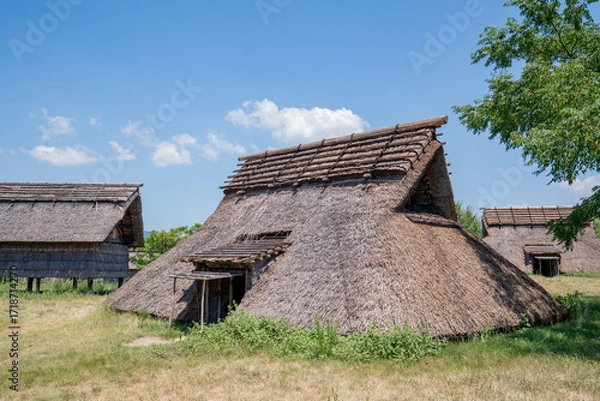 Obraz 弥生時代 遺跡 生活 風景