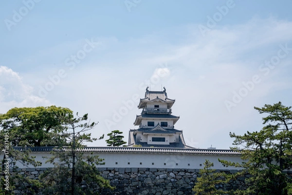 Obraz 今治城 城 四国 歴史