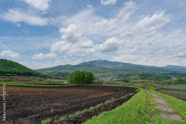 Obraz 畑 自然 田畑 平和 高地 長野