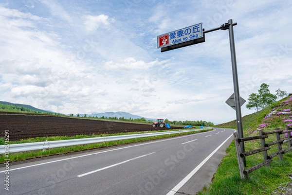 Obraz 愛妻の丘 長野 自然 風景 のどか 道路