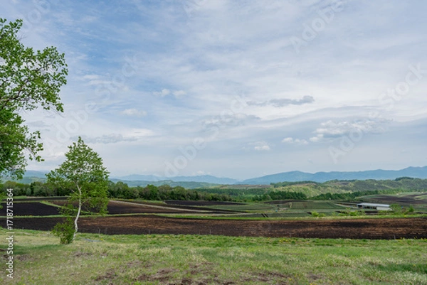 Obraz 畑 自然 田畑 平和 高地 長野