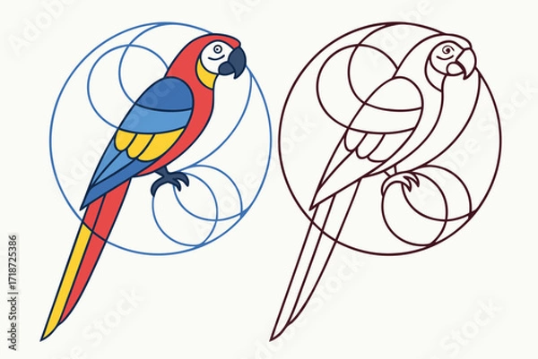 Fototapeta Colorful Macaw and Geometric Outline Parrot Keywords: parrot, macaw, bird, colorful, blue, red