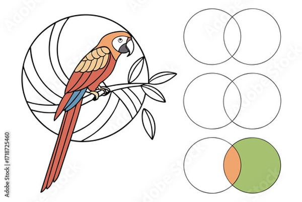 Fototapeta Colorful Macaw Perched on a Branch with Geometric Circles Keywords: macaw, parrot, bird