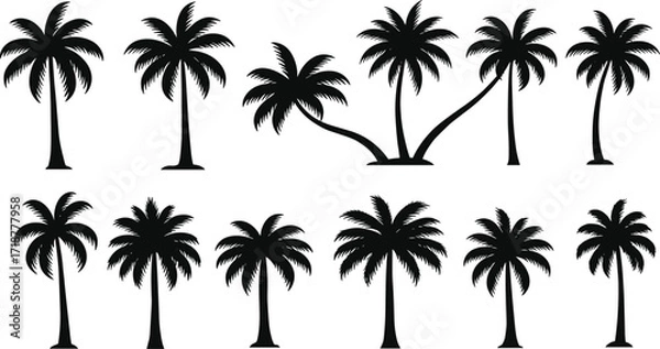 Fototapeta Tropical palm tree silhouette vector collection, coconut tree beach design, exotic island paradise illustration, summer holiday nature artwork, palm graphic elements