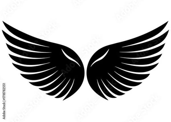 Obraz black wings