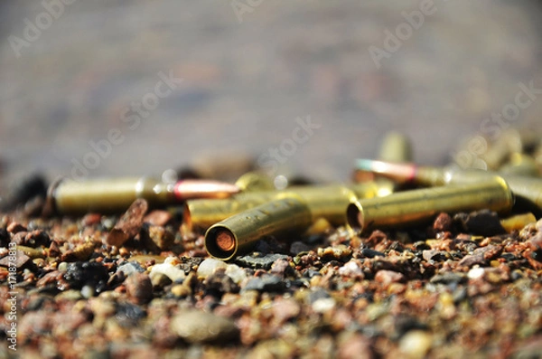 Obraz патроны