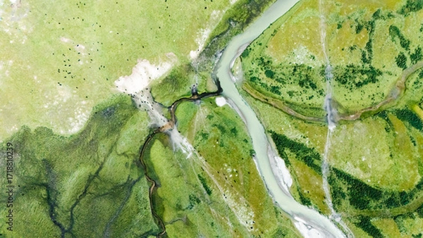 Fototapeta wetland texture