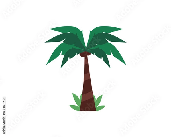Fototapeta Coconut Palm Tree Vector