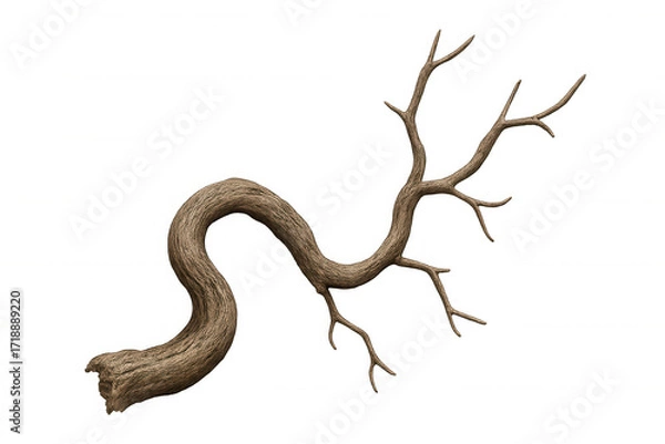 Fototapeta Twisted dry tree branch with gnarled structure and bare limbs, representing nature, death, and decay