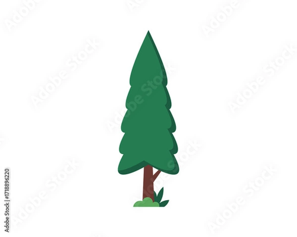Fototapeta Pine Tree Vector Illustration