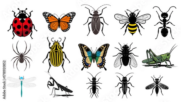 Fototapeta Set of Diverse Insect Species: Complete Visual Collection of 15 Common Garden and Household Arthropods