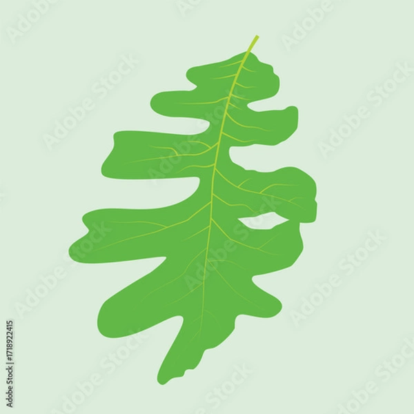 Obraz Realistic Leaf Vector Line Art – Botanical, Nature, Eco-Friendly Illustration