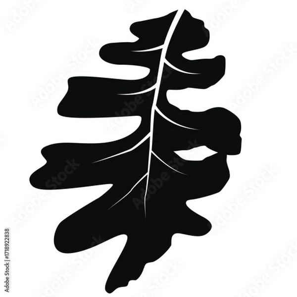 Obraz Realistic Leaf Vector Line Art – Botanical, Nature, Eco-Friendly Illustration