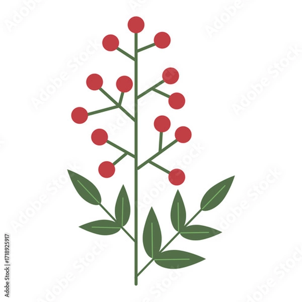 Obraz 南天のイラスト（塗り・大）