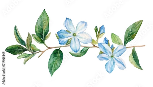 Obraz A delicate watercolor illustration of light blue flowers with green leaves. elegantly arranged on a white background. ideal for botanical art. greeting cards. or nature-themed decor