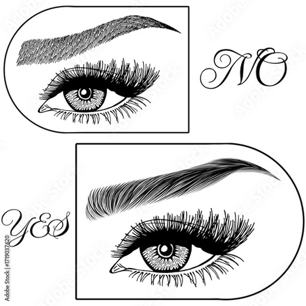 Fototapeta Illustration with woman's eyes, eyelashes and eyebrows. Makeup Look. Tattoo design. Logo for brow bar or lash salon. Wrong and right coloring care. Set of well-groomed and shaggy eyebrows.