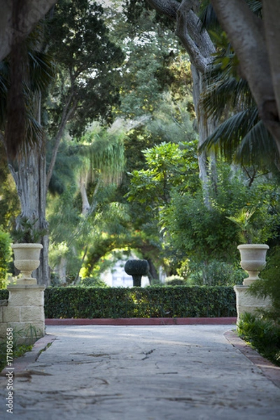 Obraz Paradise garden