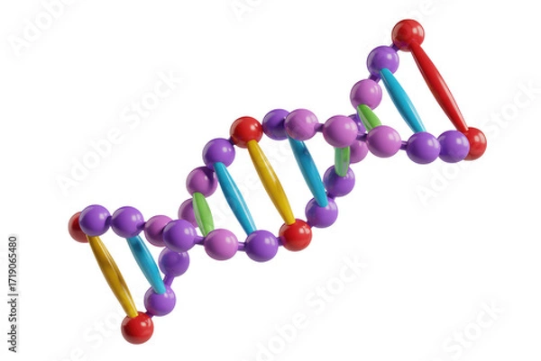 Obraz A colorful 3D model of a DNA double helix, illustrating the structure of genetic material. background removed