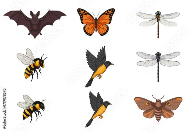 Fototapeta Nine creatures bat butterfly two dragonflies two bees two birds and moth arranged threebythree on a white background