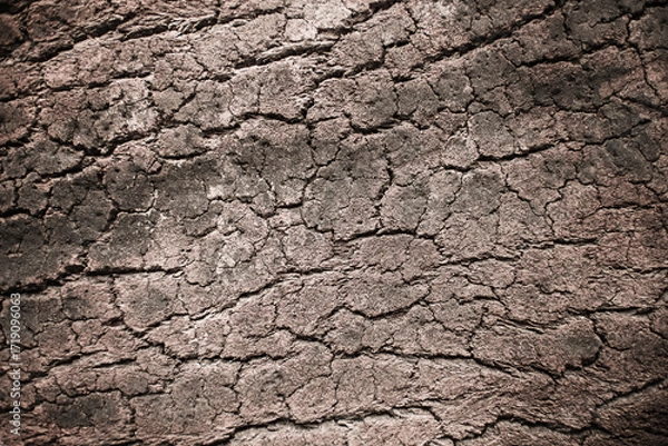 Obraz Abstract wooden background in monochrome colors
