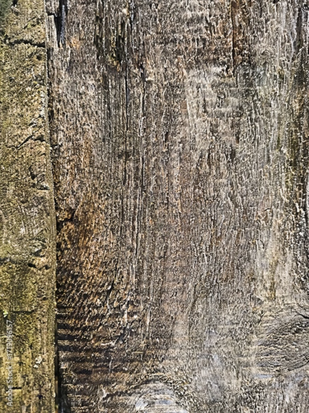 Obraz Old wood texture with natural patterns and cracks and frost on the surface as a background