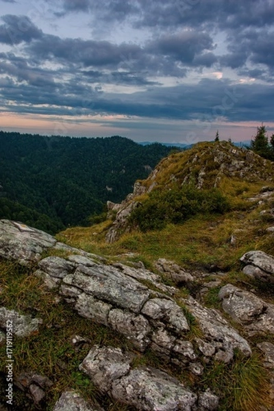 Fototapeta Rocky mountain summit with grassy slopes and cloudy sunset sky, overlooking a vast forested valley. Scenic view from a hiking trail in the wilderness.