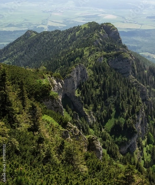 Fototapeta Steep rocky mountain ridge covered with dense pine forest, viewed from above on a clear summer day, with a valley and farmlands visible in the background.