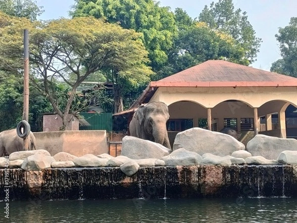 Fototapeta Two elephants in a zoo enclosure with waterfall, rocks, and tropical shelter. Peaceful scene ideal for wildlife, conservation, or eco-tourism themes