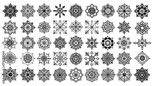 Obraz Intricate black and white symmetrical snowflake designs