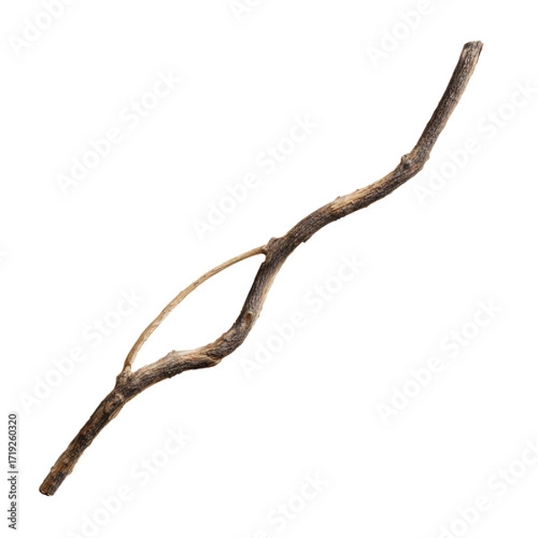 Fototapeta A Clean Cut Image of a Dry Branch