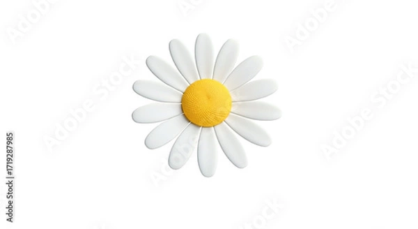 Obraz White chamomile flower on a white background