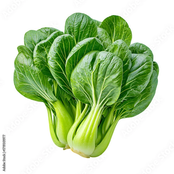 Fototapeta Fresh Bok Choy Cabbage Isolated On transparent background Food Ingredient. Ai Generated Images