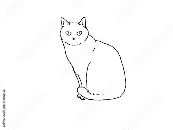 Obraz 横向きに座るって正面を見る白猫の白黒イラスト