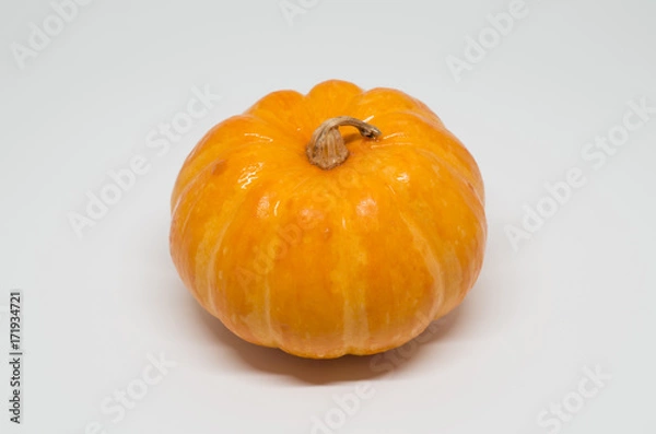 Obraz Pumpkin isolated on white background