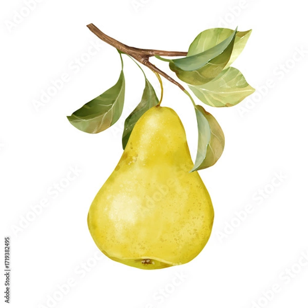 Fototapeta Hand-drawn illustration of a single yellow pear with a green leaves