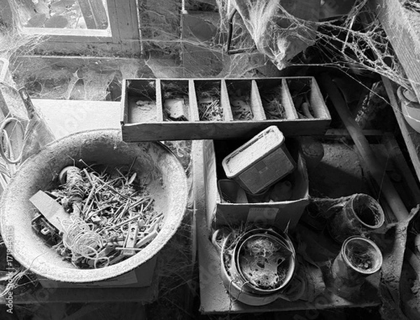 Fototapeta A room abandoned by man, covered with a layer of dust, cobwebs and flies