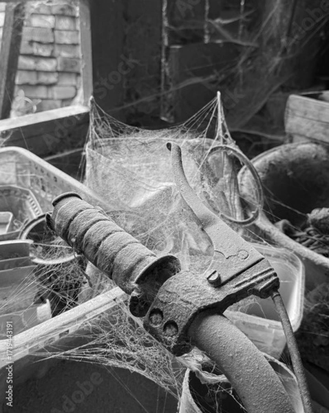 Fototapeta A room abandoned by man, covered with a layer of dust, cobwebs and flies