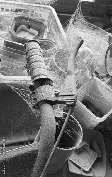 Fototapeta A room abandoned by man, covered with a layer of dust, cobwebs and flies