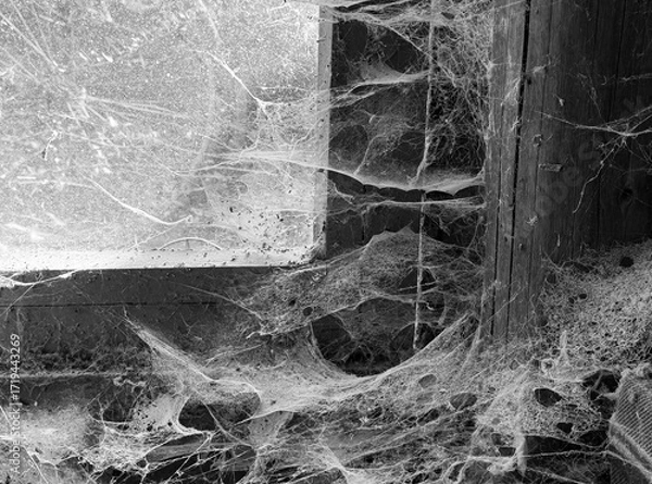 Fototapeta A room abandoned by man, covered with a layer of dust, cobwebs and flies