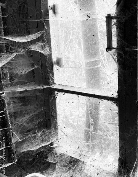 Fototapeta A room abandoned by man, covered with a layer of dust, cobwebs and flies