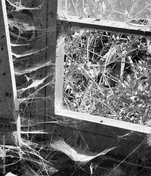 Fototapeta A room abandoned by man, covered with a layer of dust, cobwebs and flies